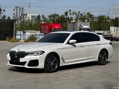 2023 BMW 5 Series 530Li Leading M Sport Package, фото 1, лот 11249299