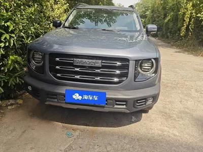 2021 Haval Big Dog 1.5T DCT 2WD Labrador Edition, фото 2, лот 10629569