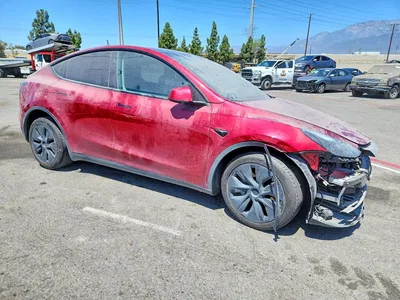 2024 TESLA MODEL Y, фото 4, лот 10852310