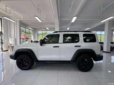 2021 Tank 300 Off-road Version 2.0T Conqueror, фото 4, лот 10344334