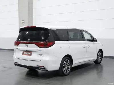 2018 GAC Trumpchi Trumpchi M8 320T Premium Edition, фото 2, лот 11106652
