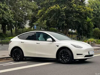 2022 Tesla Model Y Rear-Wheel Drive Version, фото 3, лот 10475952