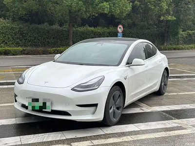 2020 Tesla Model 3 Standard Range Rear-Wheel Drive Upgrade, фото 1, лот 10452192