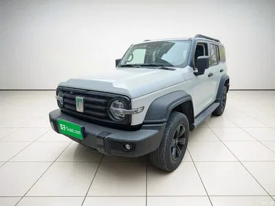 2021 Tank 300 Off-road Version 2.0T Conqueror, фото 1, лот 10993665