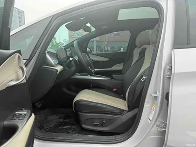 2025 BYD Dolphin Smart Drive Edition 410km Fashion Version, фото 4, лот 10253945