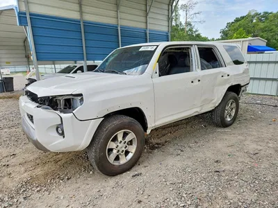 2024 TOYOTA 4RUNNER TRD OFF-ROAD PREMIUM, фото 1, лот 10550949