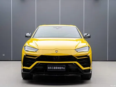 2021 Lamborghini Urus 4.0T V8, фото 4, лот 10308426
