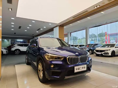 2019 BMW X1 sDrive20Li Leading Model, фото 4, лот 10239057
