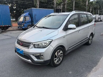2016 Wuling Motors Wuling Hongguang 1.5L S1 Premium Model China V, фото 1, лот 11136253