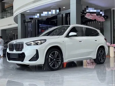 2025 BMW X1 sDrive25Li M Sport Package, фото 1, лот 10466228