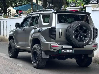 2024 Tank 400 New Energy Hi4-T Off-Road Edition, фото 4, лот 11178658