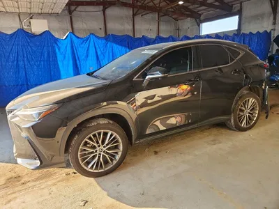 2024 LEXUS NX 350H LUXURY, фото 1, лот 10905373