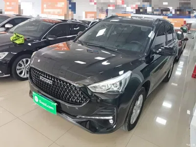 2019 Haval M6 1.5T Manual 2WD Elite Type China VI, фото 2, лот 10285330