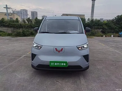 2025 Wuling Motors Wuling Yangguang 310KM Bus CATL Custom Edition, фото 3, лот 11155475