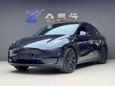 2024 Tesla Model Y Rear-Wheel Drive Version, фото 1, лот 10441842
