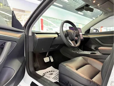 2021 Tesla Model 3 Performance High-Performance All-Wheel Drive, фото 4, лот 10360866