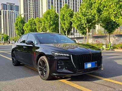 2025 Hongqi H5 2.0T Automatic Mystic Shadow, фото 3, лот 10288025