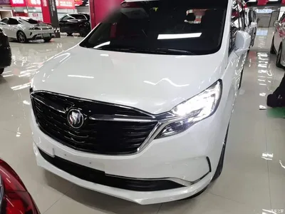 2021 Buick GL8 ES Landlord 653T Flagship, фото 3, лот 10258773