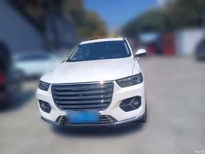 2020 Haval H6 1.5GDIT Automatic Platinum Champion Edition, фото 2, лот 11573629