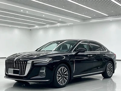 2024 Hongqi H5 1.5T DCT Smart Connect Flag Joy Edition, фото 1, лот 10360850