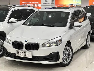 2019 BMW 2 Series Gran Tourer 220i Leading, фото 1, лот 10418311
