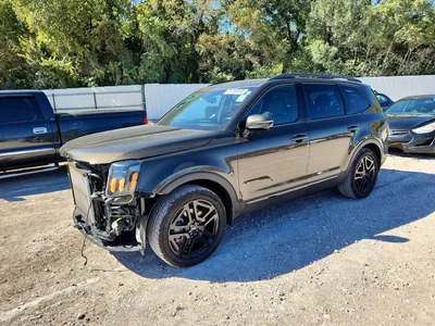 2024 KIA TELLURIDE SX-PRESTIGE X-LINE, фото 1, лот 11577817