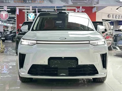 2025 GAC Trumpchi Trumpchi Vision S9 1.5T Hybrid Premium, фото 3, лот 10418935