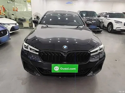 2022 BMW 5 Series Facelift II 530Li Premium Package M Sport, фото 3, лот 11141155