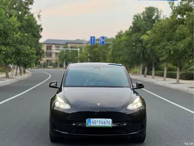 2022 Tesla Model Y Rear-Wheel Drive Version, фото 2, лот 11107146