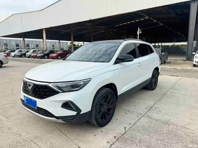 2021 Jetta VS7 Panda Edition 1.4T Auto Deluxe, фото 1, лот 10426594