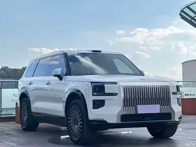 2025 ZEEKR 9X Standard Edition, фото 3, лот 11223276
