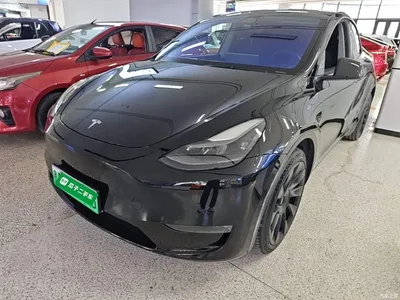2021 Tesla Model Y Standard Range Rear-Wheel Drive, фото 2, лот 10370895