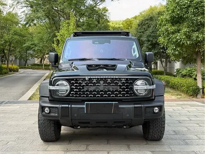 2021 Tank 300 Off-road Version 2.0T Conqueror, фото 2, лот 10449923