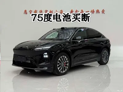 2025 NIO EC6 75kWh, фото 1, лот 10356434