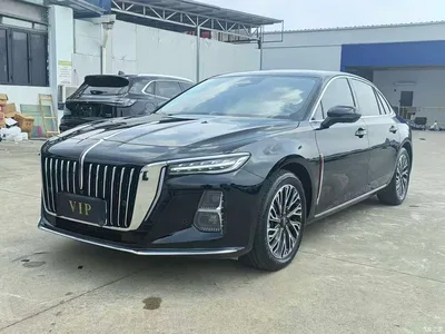 2023 Hongqi H5 2.0T Auto Smart Connect Flag Comfort, фото 1, лот 10828286