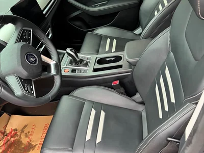 2020 BYD Qin Pro Surpass Edition 1.5TI Automatic Flagship, фото 4, лот 11240909