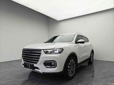 2020 Haval H6 1.5GDIT Automatic Platinum Luxury Edition, фото 1, лот 11546798