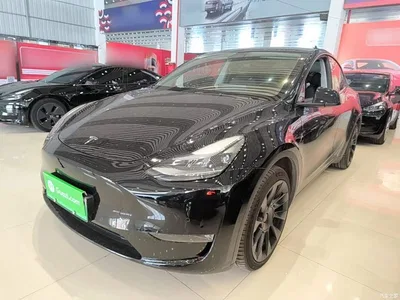 2022 Tesla Model Y Facelift Long Range All-Wheel Drive Version, фото 1, лот 10671102