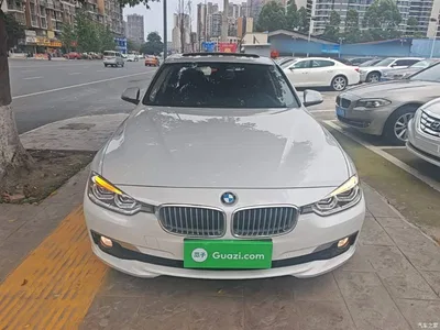 2019 BMW 3 Series 320Li Fashion Type, фото 3, лот 10457989