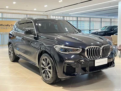 2019 BMW X5 (Import) xDrive40i M Sport Package, фото 2, лот 10406439