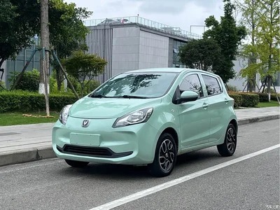 2021 Changan Benben E-Star National Edition Colorful Version LFP (31.18kWh), фото 1, лот 10391757