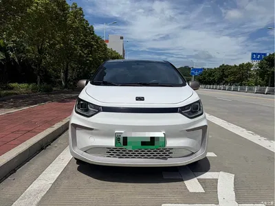 2021 Sehol Flower Fairy 302km Surpass Edition 31.4kWh, фото 2, лот 11153495