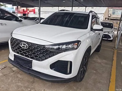 2021 Hyundai Beijing Hyundai ix35 2.0L Automatic 2WD GLS Leading Edition, фото 1, лот 10375342
