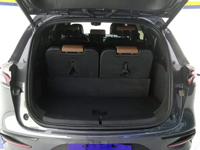 2021 BYD Tang New Energy DM-i 112KM Honor, фото 4, лот 10689091