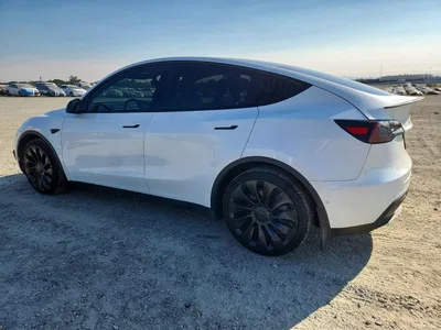 2020 TESLA MODEL Y, фото 2, лот 10856850