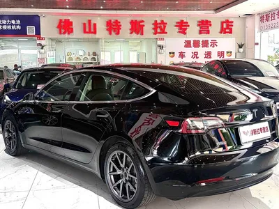2020 Tesla Model 3 Standard Range Rear-Wheel Drive Upgrade, фото 3, лот 10350934