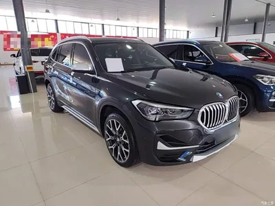 2022 BMW X1 xDrive25Li Premium, фото 4, лот 10467439