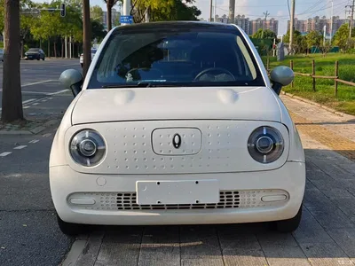 2021 Ora Black Cat 301km Basic Model, фото 2, лот 10330543