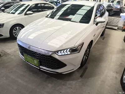 2023 BYD Qin PLUS Champion Edition DM-i 55KM Leading, фото 1, лот 10362819