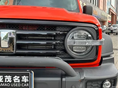 2023 Tank 300 Off-Road Edition 2.0T Conqueror, фото 4, лот 10346473